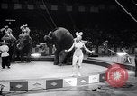 Image of circus wedding New York United States USA, 1966, second 32 stock footage video 65675031162
