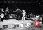 Image of circus wedding New York United States USA, 1966, second 33 stock footage video 65675031162