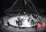 Image of circus wedding New York United States USA, 1966, second 34 stock footage video 65675031162