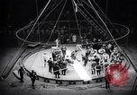 Image of circus wedding New York United States USA, 1966, second 36 stock footage video 65675031162