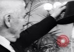 Image of Charlie Chaplin London England United Kingdom, 1966, second 11 stock footage video 65675031163