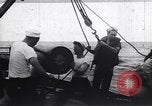 Image of United States Coast Guard North Atlantic Ocean, 1944, second 8 stock footage video 65675031168