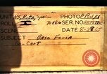 Immagine di Go-Karting Rota Spagna, 1965, secondo 8 filmato di repertorio 65675031178