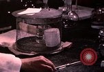 Standbild Ernährung Wert Beltsville Maryland USA, 1948, aus Sekunde 31 historischem Filmmaterial Videoclip 65675031182