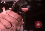 Standbild Ernährung Wert Beltsville Maryland USA, 1948, aus Sekunde 34 historischem Filmmaterial Videoclip 65675031182
