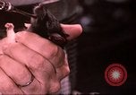 Standbild Ernährung Wert Beltsville Maryland USA, 1948, aus Sekunde 35 historischem Filmmaterial Videoclip 65675031182
