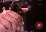 Standbild Ernährung Wert Beltsville Maryland USA, 1948, aus Sekunde 36 historischem Filmmaterial Videoclip 65675031182