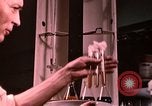 Standbild Ernährung Wert Beltsville Maryland USA, 1948, aus Sekunde 40 historischem Filmmaterial Videoclip 65675031182