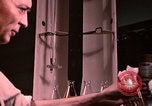 Standbild Ernährung Wert Beltsville Maryland USA, 1948, aus Sekunde 43 historischem Filmmaterial Videoclip 65675031182