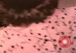 Image textile and clothing United States USA, 1948, de la seconde 24 séquences d'archives historiques vidéo 65675031184