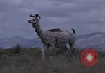 Immagine di Osservatorio Jicamarca Lima Peru, 1963, secondo 60 filmato di repertorio 65675031240