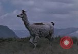 Immagine di Osservatorio Jicamarca Lima Peru, 1963, secondo 61 filmato di repertorio 65675031240