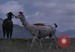 Immagine di Osservatorio Jicamarca Lima Peru, 1963, secondo 62 filmato di repertorio 65675031240
