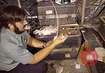 Image of Electromagnetics Hazards Group New Mexico United States USA, 1978, second 28 stock footage video 65675031265