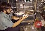 Image of Electromagnetics Hazards Group New Mexico United States USA, 1978, second 29 stock footage video 65675031265