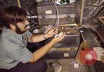Image of Electromagnetics Hazards Group New Mexico United States USA, 1978, second 30 stock footage video 65675031265