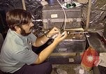 Image of Electromagnetics Hazards Group New Mexico United States USA, 1978, second 34 stock footage video 65675031265