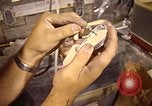 Image of Electromagnetics Hazards Group New Mexico United States USA, 1978, second 37 stock footage video 65675031265