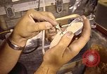 Image of Electromagnetics Hazards Group New Mexico United States USA, 1978, second 39 stock footage video 65675031265