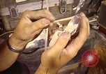 Image of Electromagnetics Hazards Group New Mexico United States USA, 1978, second 46 stock footage video 65675031265