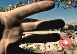 Immagine di Enola Gay Hangar Utah United States USA, 1978, secondo 34 filmato di repertorio 65675031280