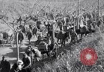 Image guerre sino-japonaise Nankin Chine, 1937, de la seconde 13 séquences d'archives historiques vidéo 65675031292
