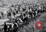 Image guerre sino-japonaise Nankin Chine, 1937, de la seconde 14 séquences d'archives historiques vidéo 65675031292