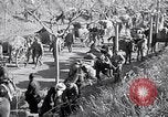 Image guerre sino-japonaise Nankin Chine, 1937, de la seconde 15 séquences d'archives historiques vidéo 65675031292