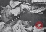 Image of German civilians donating Germany, 1942, second 38 stock footage video 65675031295