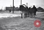 Image of Italian troops Russia, 1942, second 7 stock footage video 65675031298