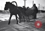 Image of Italian troops Russia, 1942, second 9 stock footage video 65675031298