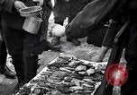 Image of Italian troops Russia, 1942, second 33 stock footage video 65675031298