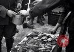 Image of Italian troops Russia, 1942, second 34 stock footage video 65675031298