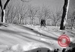 Image of Italian troops Russia, 1942, second 58 stock footage video 65675031298