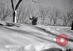 Image of Italian troops Russia, 1942, second 60 stock footage video 65675031298