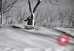 Image of Italian troops Russia, 1942, second 62 stock footage video 65675031298