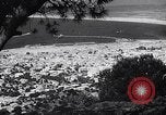 Image of Views of Palestine including Jerusalem and Haifa Palestine, 1935, second 13 stock footage video 65675031309