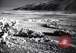 Image of Views of Palestine including Jerusalem and Haifa Palestine, 1935, second 50 stock footage video 65675031309