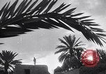 Image of Adolf Hitler Speaking Germany, 1933, second 44 stock footage video 65675031310