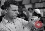 Image of Industrial activity in Palestine Palestine, 1935, second 26 stock footage video 65675031311