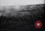 Image of Harry S Truman United States USA, 1948, second 59 stock footage video 65675031318