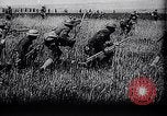 Image of Harry S Truman United States USA, 1948, second 60 stock footage video 65675031318