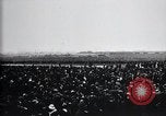 Image of Charles Lindbergh United Kingdom, 1928, second 19 stock footage video 65675031361