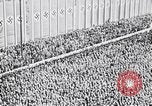 Image of Adolf Hitler reads Roosevelt letter Berlin Germany, 1939, second 19 stock footage video 65675031408