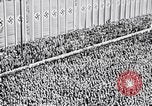 Image of Adolf Hitler reads Roosevelt letter Berlin Germany, 1939, second 20 stock footage video 65675031408
