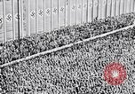 Image of Adolf Hitler reads Roosevelt letter Berlin Germany, 1939, second 21 stock footage video 65675031408