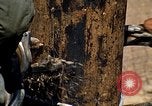 Image of Fire Support Base Vietnam, 1970, second 51 stock footage video 65675031440