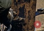 Image of Fire Support Base Vietnam, 1970, second 55 stock footage video 65675031440