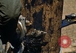 Image of Fire Support Base Vietnam, 1970, second 56 stock footage video 65675031440