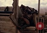 Standbild Fire Support Base Vietnam, 1970, aus Sekunde 26 historischem Filmmaterial Videoclip 65675031442